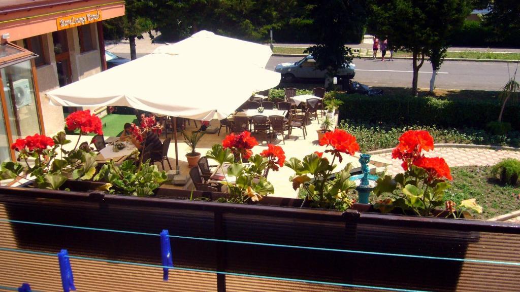 Hotel Turist Neptun Rom bilde